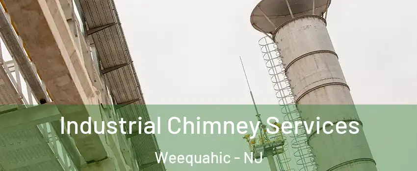 Industrial Chimney Services Weequahic - NJ