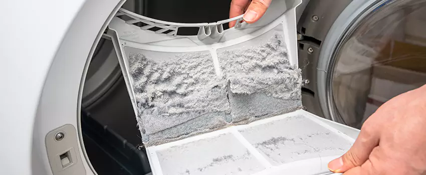Best Dryer Lint Removal Company in Upper Clinton Hill, New Jersey