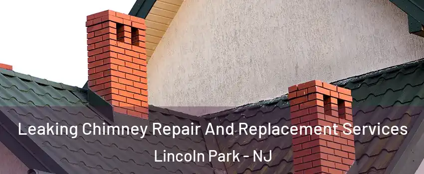 Leaking Chimney Repair And Replacement Services Lincoln Park - NJ
