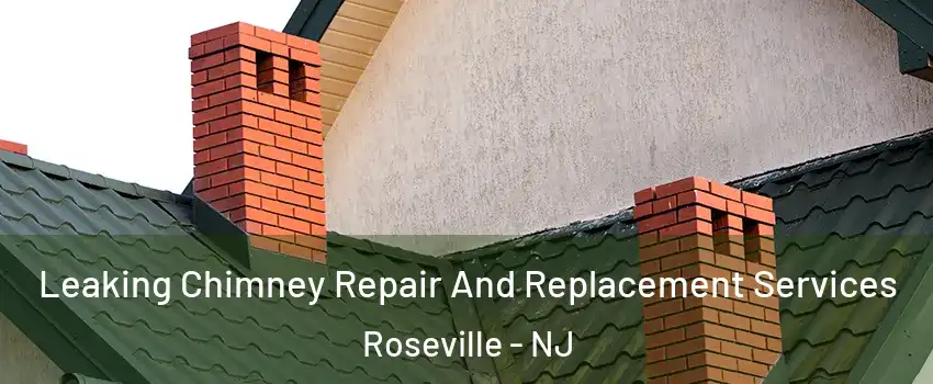 Leaking Chimney Repair And Replacement Services Roseville - NJ