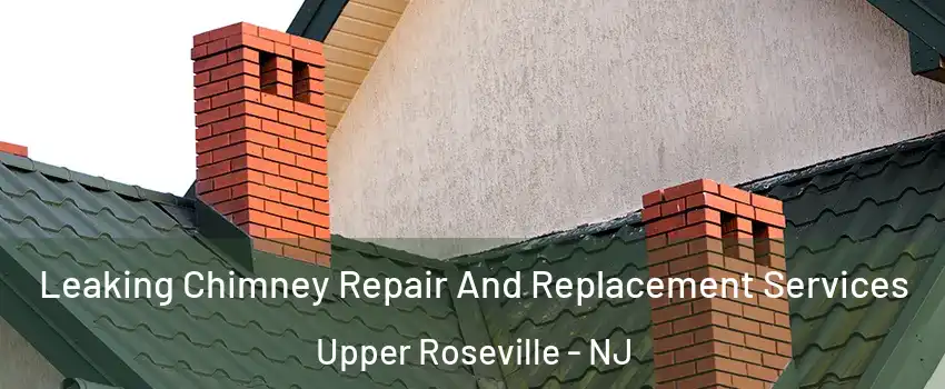 Leaking Chimney Repair And Replacement Services Upper Roseville - NJ
