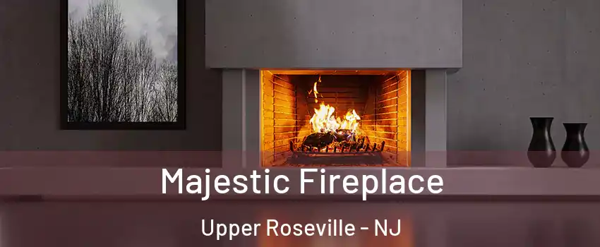 Majestic Fireplace Upper Roseville - NJ