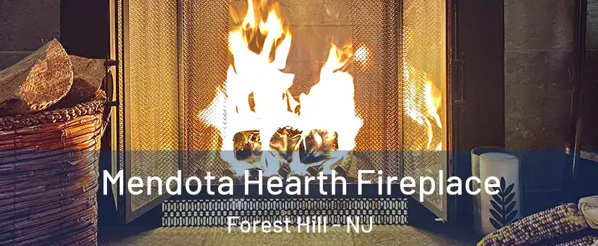 Mendota Hearth Fireplace Forest Hill - NJ