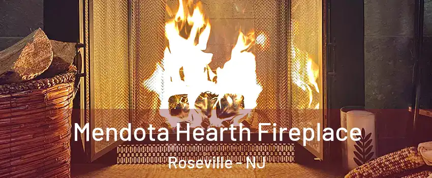 Mendota Hearth Fireplace Roseville - NJ