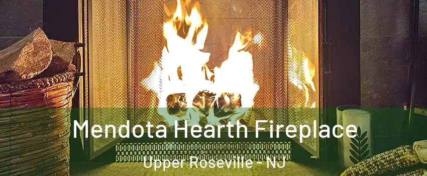 Mendota Hearth Fireplace Upper Roseville - NJ