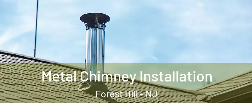 Metal Chimney Installation Forest Hill - NJ