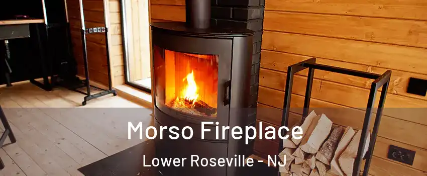 Morso Fireplace Lower Roseville - NJ