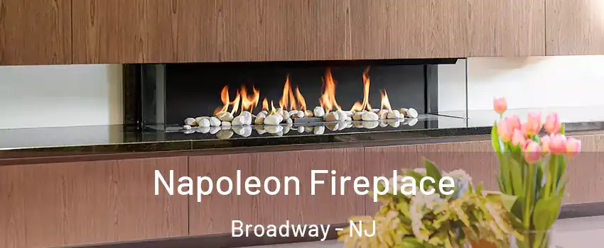 Napoleon Fireplace Broadway - NJ