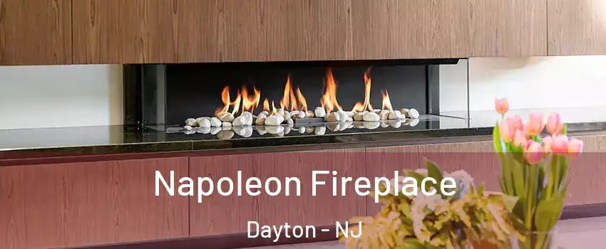 Napoleon Fireplace Dayton - NJ