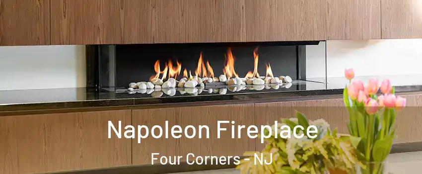 Napoleon Fireplace Four Corners - NJ