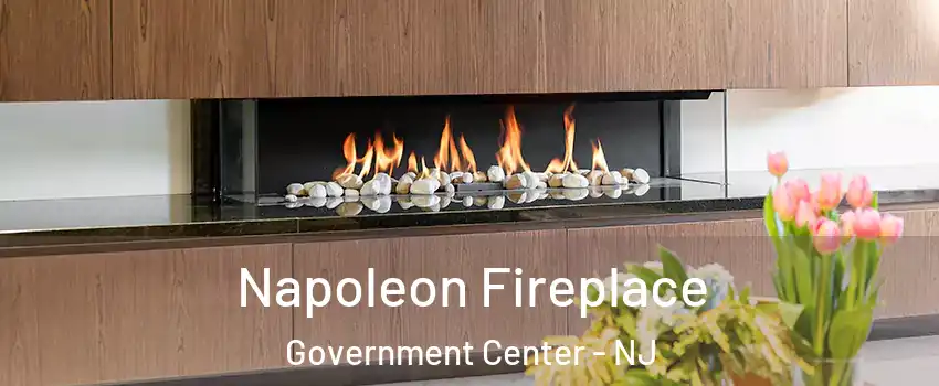 Napoleon Fireplace Government Center - NJ