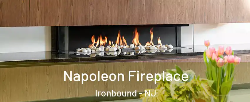 Napoleon Fireplace Ironbound - NJ