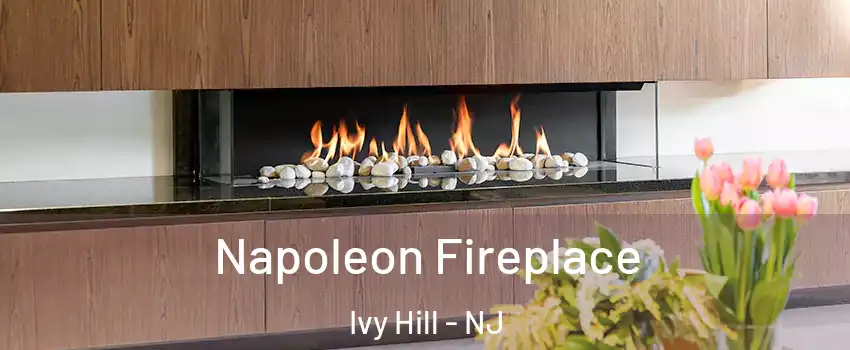 Napoleon Fireplace Ivy Hill - NJ