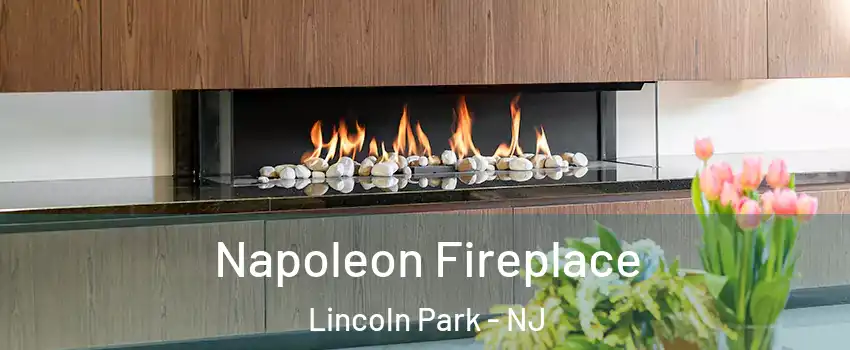 Napoleon Fireplace Lincoln Park - NJ