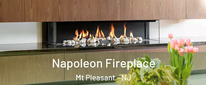 Napoleon Fireplace Mt Pleasant - NJ