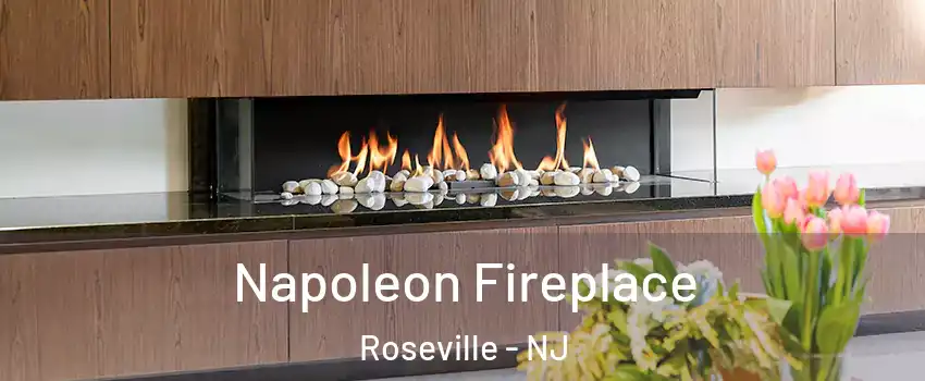 Napoleon Fireplace Roseville - NJ