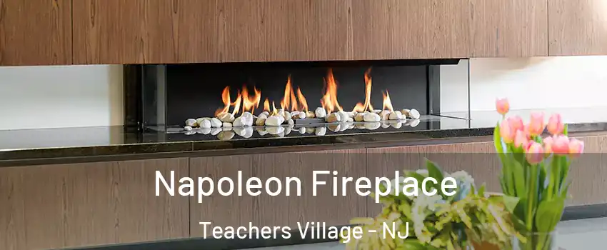 Napoleon Fireplace Teachers Village - NJ