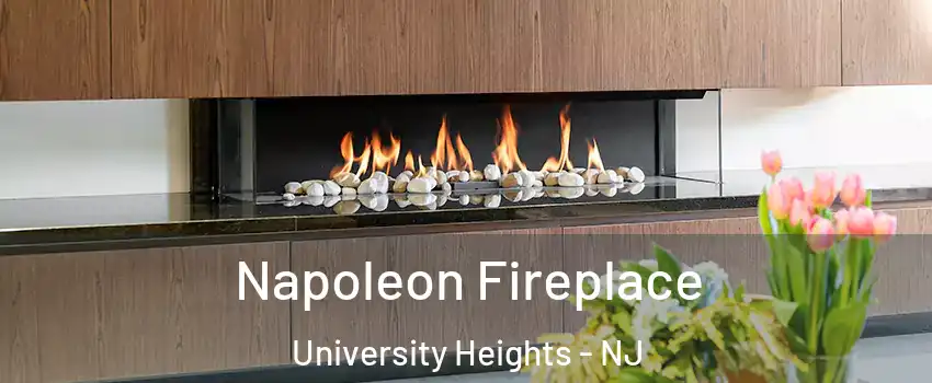 Napoleon Fireplace University Heights - NJ