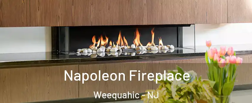 Napoleon Fireplace Weequahic - NJ