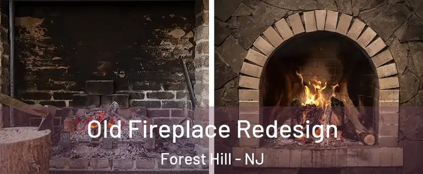 Old Fireplace Redesign Forest Hill - NJ