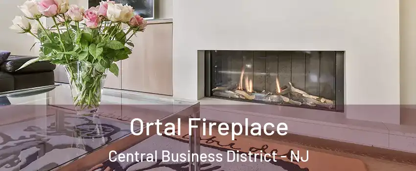 Ortal Fireplace Central Business District - NJ