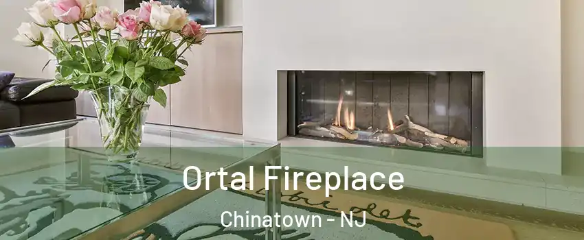 Ortal Fireplace Chinatown - NJ