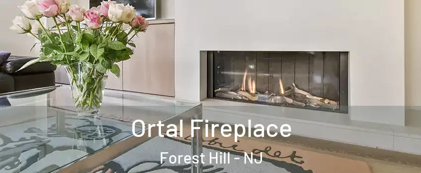 Ortal Fireplace Forest Hill - NJ