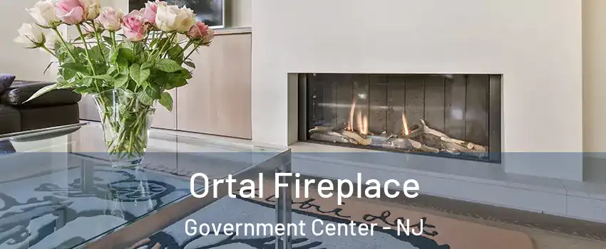 Ortal Fireplace Government Center - NJ