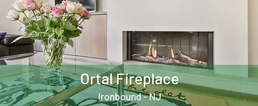 Ortal Fireplace Ironbound - NJ