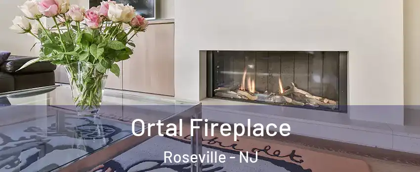 Ortal Fireplace Roseville - NJ