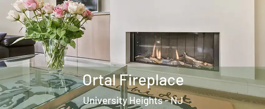 Ortal Fireplace University Heights - NJ