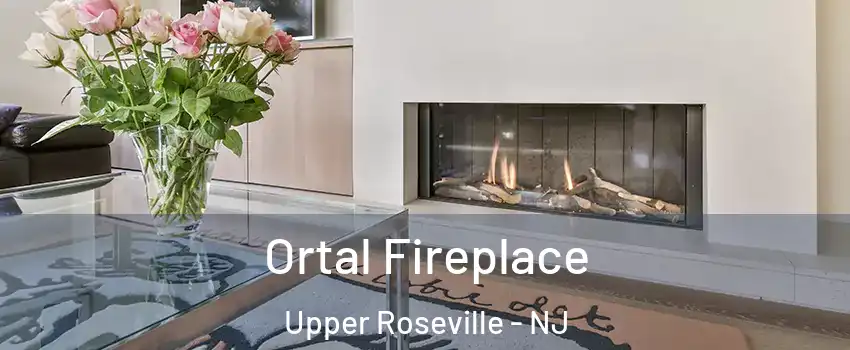 Ortal Fireplace Upper Roseville - NJ