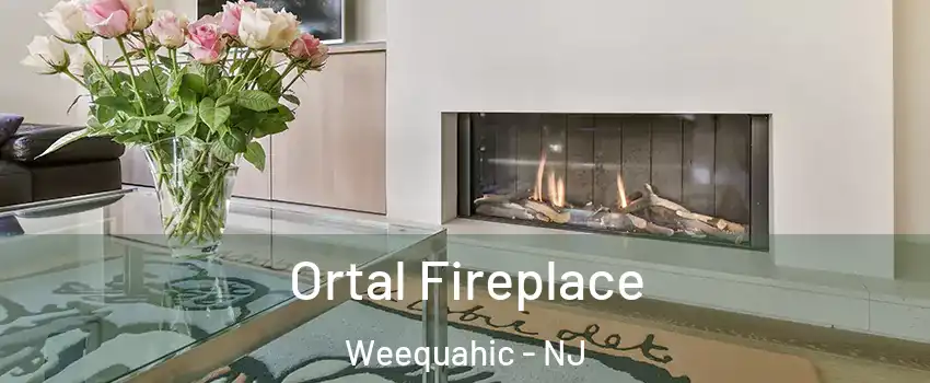 Ortal Fireplace Weequahic - NJ