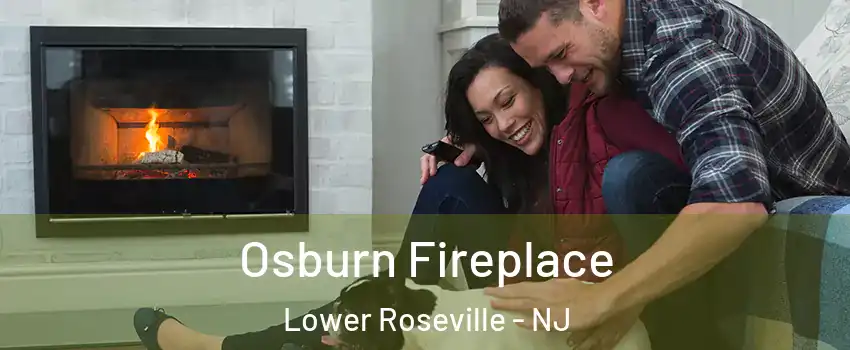 Osburn Fireplace Lower Roseville - NJ