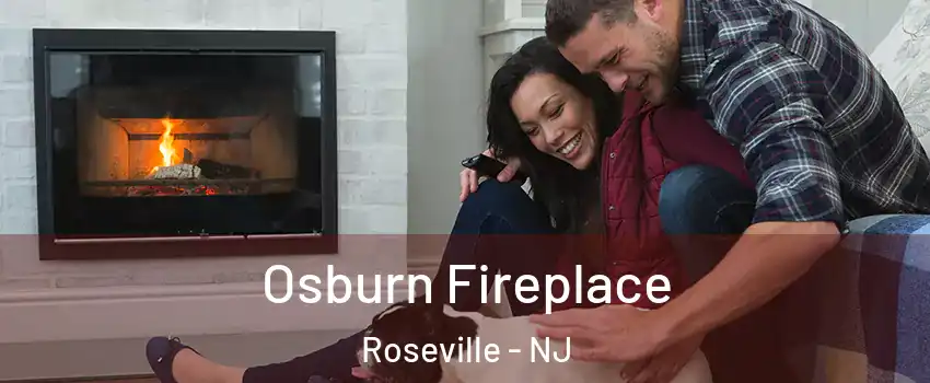 Osburn Fireplace Roseville - NJ