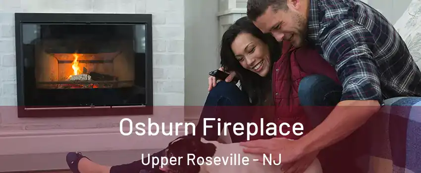 Osburn Fireplace Upper Roseville - NJ