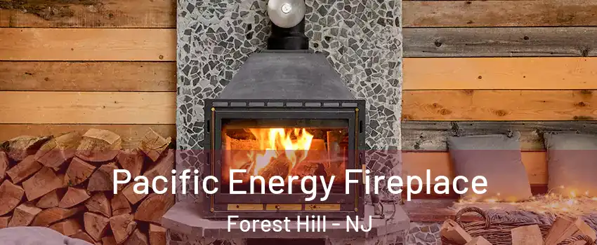 Pacific Energy Fireplace Forest Hill - NJ