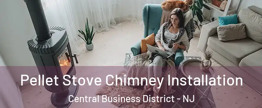 Pellet Stove Chimney Installation Central Business District - NJ