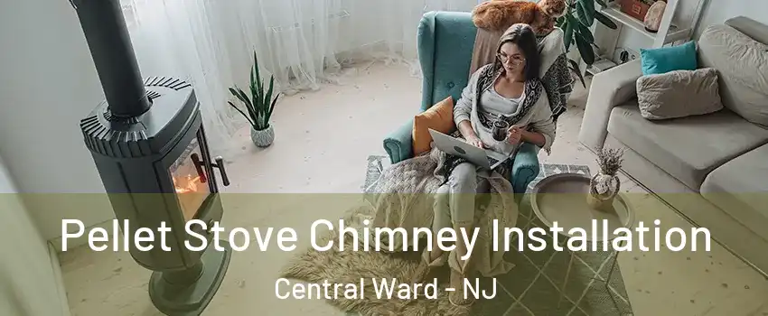 Pellet Stove Chimney Installation Central Ward - NJ