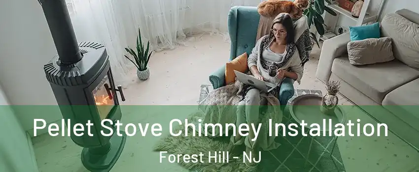 Pellet Stove Chimney Installation Forest Hill - NJ