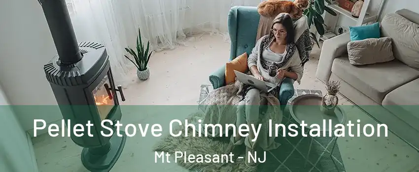 Pellet Stove Chimney Installation Mt Pleasant - NJ