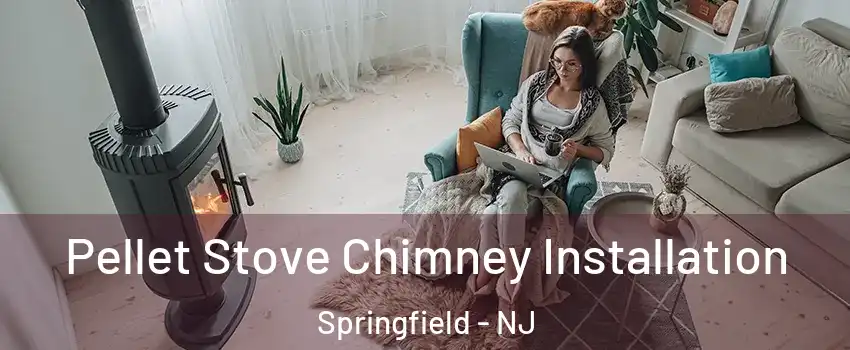 Pellet Stove Chimney Installation Springfield - NJ