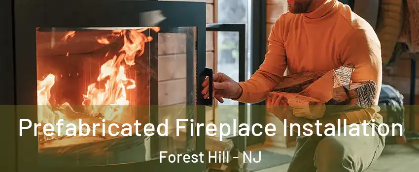 Prefabricated Fireplace Installation Forest Hill - NJ
