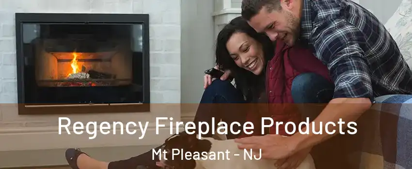 Regency Fireplace Products Mt Pleasant - NJ