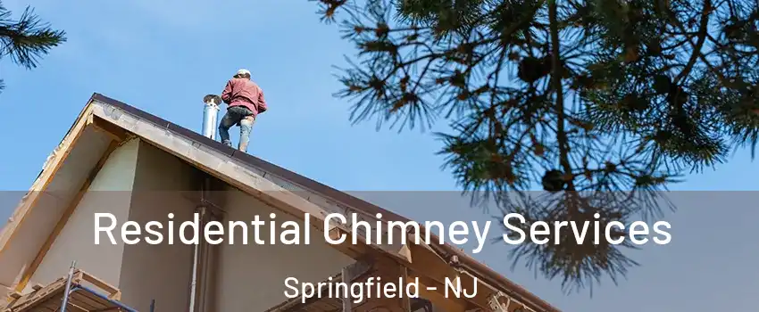 Residential Chimney Services Springfield - NJ