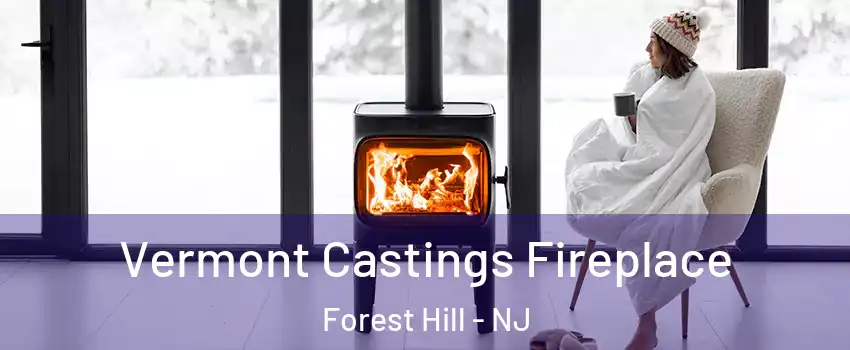 Vermont Castings Fireplace Forest Hill - NJ