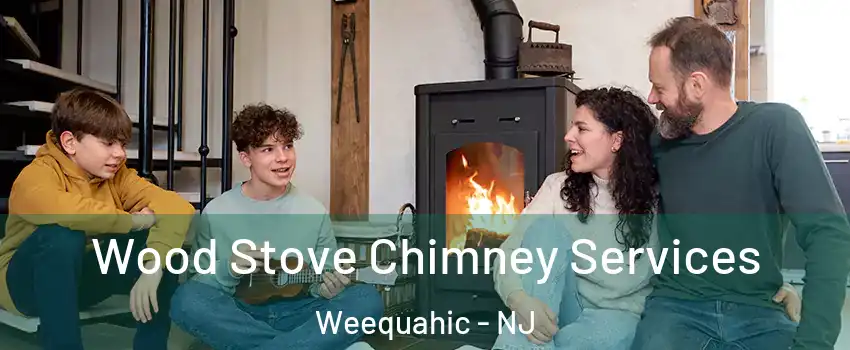 Wood Stove Chimney Services Weequahic - NJ