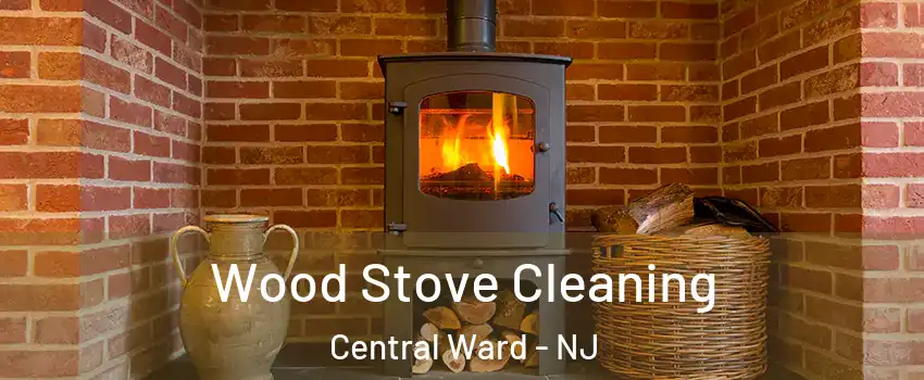 Wood Stove Cleaning Central Ward - NJ