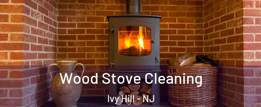Wood Stove Cleaning Ivy Hill - NJ
