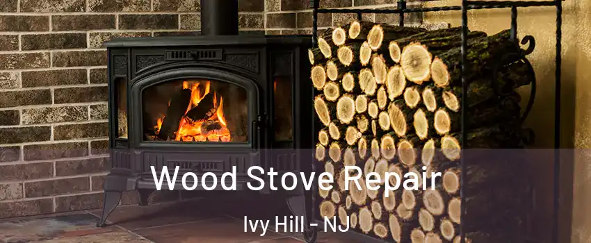 Wood Stove Repair Ivy Hill - NJ